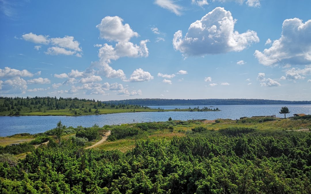 Badetur til Kriksvika