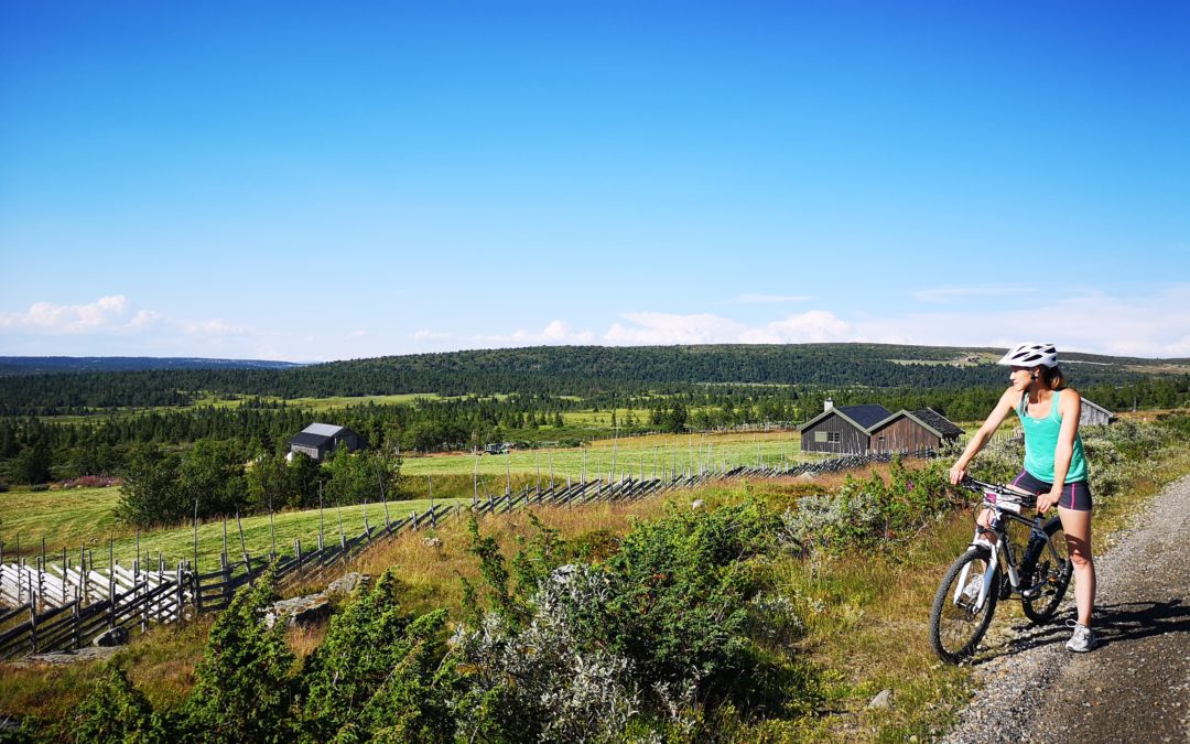 Sykkeltur til Lillehammer via Nordseter