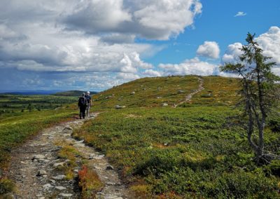 Hike to Reinsfjell via Malmtjønn