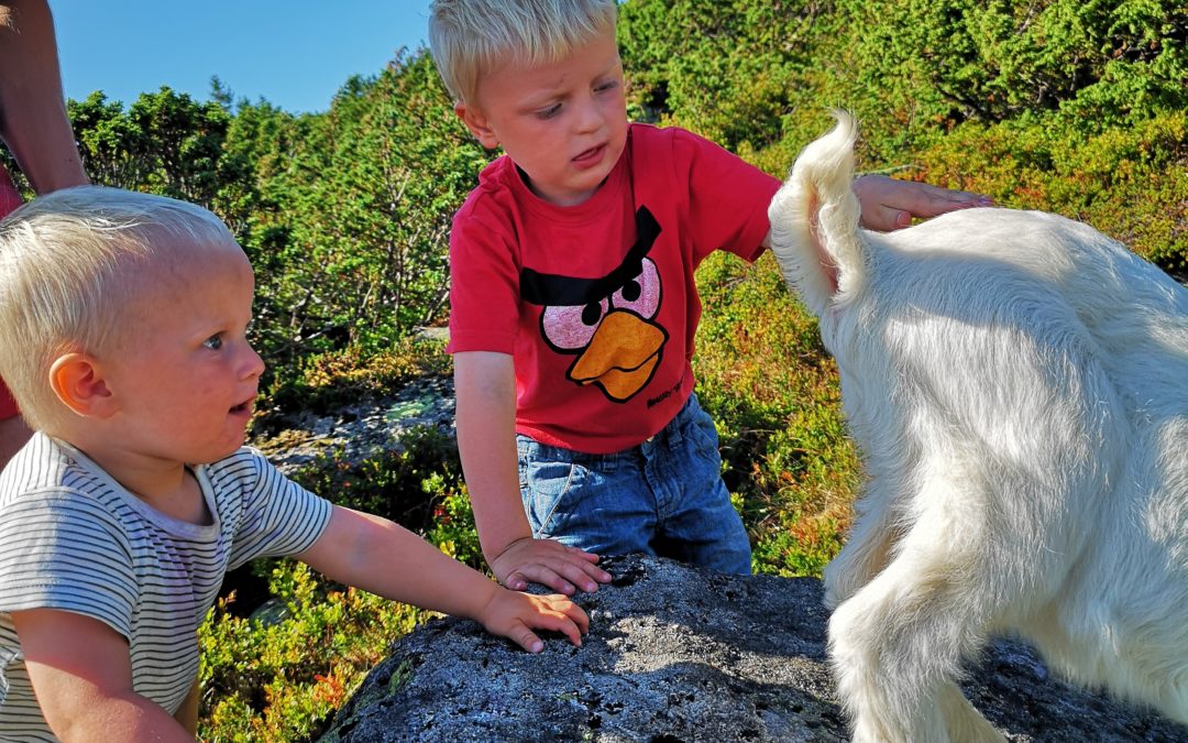 Seterbesøk