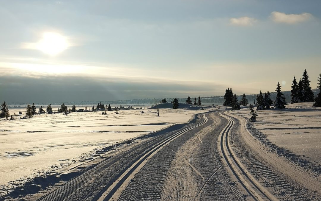 Runden før Reinsvatnet
