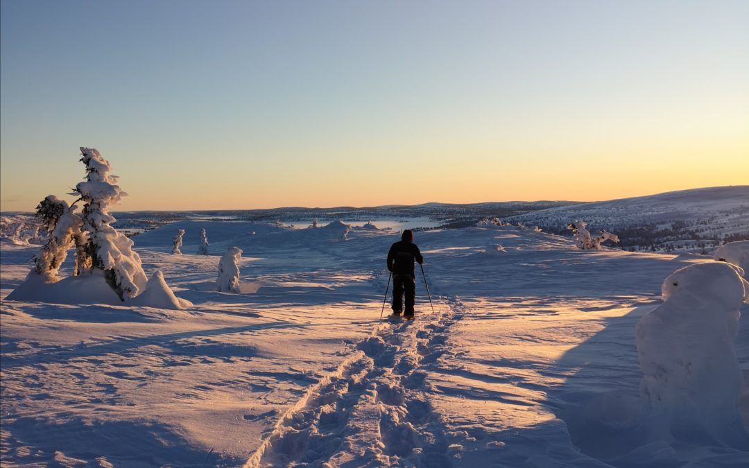 Trugetur med bålkos