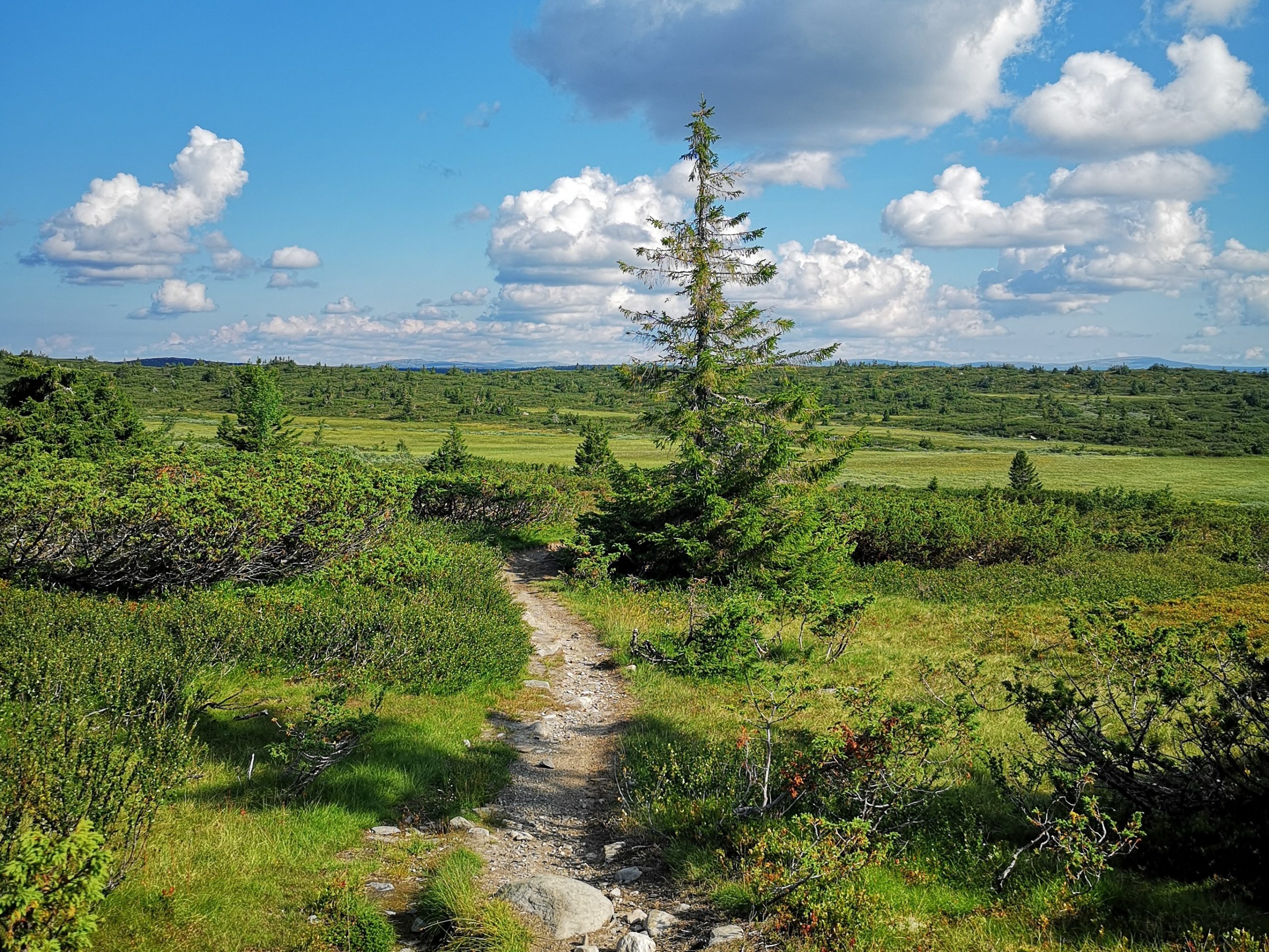 rhdr Sykkelsti Øyerfjellet